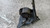 TOYOTA YARIS «IV» (2012) MOTORE SUPPORTO GOMMA MOTORE SX. USATO Da 2011 A 2014 [[292268]]