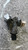 TOYOTA YARIS «IV» (2012) STERZO BLOCCASTERZO USATO Da 2011 A 2014 [[292273]]