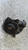 CITROEN C3 PICASSO (2013) ASSALE FUSELLO RUOTA ANT. SX. USATO Da 2013 A 2015 [[292481]]