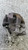 CITROEN C3 PICASSO (2013) IMPIANTO FRENANTE PINZA FRENO POST. DX. USATO Da 2013 A 2015 [[292489]]