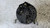 FIAT 500 «II» (2008) IMPIANTO ELETTRICO ALTERNATORE (REVISIONATO) USATO Da 2009 A 2012 [[292533]]
