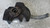 ALFA ROMEO 159 SPORTWAGON (2006) ASSALE FUSELLO RUOTA ANT. DX. USATO Da 2006 A 2011 [[292610]]