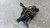 FIAT 500L (2013) ASSALE FUSELLO RUOTA ANT. DX. USATO Da 2014 A 2017 [[292648]]