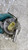 FIAT 500L (2013) SCARICO E INIEZIONE FILTRO CARBURANTE COMPLETO USATO Da 2014 A 2017 [[292667]]