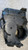 G. VICTORIA GLADIATOR (2011) TERMICO SCATOLA RISCALDAMENTO USATO [[292741]]