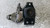 NISSAN QASHQAI «I» (2007) MOTORE SUPPORTO GOMMA MOTORE USATO Da 2006 A 2010 [[292836]]