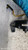 OPEL AGILA «B» (2008) STERZO PIASTRA CONTATTO USATO Da 2010 in poi [[292878]]