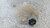ALFA ROMEO STELVIO (2017) TERMICO VASCHETTA ACQUA USATO Da 2017 A 2022 [[293211]]