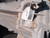 NISSAN NAVARA (2005) CAMBIO E TRASMISSIONE CAMBIO USATO [[225827]]