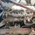 IVECO EUROCARGO «II» (2003) MOTORE MOTORE SEMICOMPLETO USATO [[293514]]