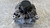 PEUGEOT 3008 «I» (2013) IMPIANTO ELETTRICO ALTERNATORE USATO Da 2013 A 2016 [[293521]]