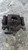 NISSAN QASHQAI «I» (2007) IMPIANTO FRENANTE PINZA FRENO POST. DX. USATO Da 2006 A 2010 [[294270]]