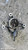 FORD FOCUS «III» SW (2008) MOTORE POMPA A VUOTO USATO Da 2008 A 2011 [[294434]]