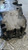 ALFA ROMEO STELVIO (2017) MOTORE COPPA OLIO USATO Da 2017 A 2022 [[294736]]