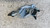 OPEL ZAFIRA «B» (2005) STERZO CILINDRETTO / COMMUTATORE ACCENSIONE USATO Da 2005 A 2008 [[294778]]