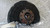 ALFA ROMEO GIULIETTA (2010) ASSALE FUSELLO RUOTA ANT. SX. USATO Da 2010 A 2013 [[294797]]