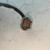 NISSAN NAVARA (2005) TERMICO ELETTROVENTOLA USATO Da 2005 A 2010 [[294971]]