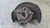 TOYOTA RAV 4 «II» (2000) ASSALE FUSELLO RUOTA ANT. DX. USATO Da 2001 A 2005 [[294950]]