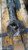 ISUZU SERIE N (2004) CAMBIO E TRASMISSIONE ALBERO TRASMISSIONE POST. USATO Da 2006 in poi [[295090]]