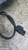 TOYOTA RAV 4 «II» (2000) TERMICO VENTOLA RAFFREDDAMENTO DX. USATO Da 2001 A 2005 [[294885]]