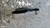 CITROEN C3 «III» (2016) MOTORE SUPPORTO GOMMA MOTORE (BIELLETTA) USATO Da 2016 A 2020 [[295159]]