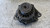 NISSAN CABSTAR «F24M» (2006) IMPIANTO ELETTRICO ALTERNATORE USATO Da 2006 A 2013 [[295233]]