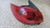 PEUGEOT 206 (1999) FANALERIA FANALE POST. SX. USATO Da 2003 A 2009 [[295467]]