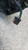PEUGEOT 206 (1999) CRISTALLI RETROVISORE ESTERNO ANT. SX. USATO Da 2003 A 2009 [[295469]]