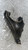TOYOTA GT 86 (2012) ASSALE BRACCIO OSCILLANTE SUP. POST. SX. USATO Da 2012 in poi [[295997]]