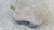 FIAT BRAVO «II» (2010) TERMICO VASCHETTA ACQUA USATO Da 2010 A 2014 [[296478]]