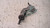 OPEL ASTRA «H» (2005) STERZO CILINDRETTO / COMMUTATORE ACCENSIONE USATO Da 2004 A 2009 [[231028]]