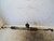 FIAT 500 «II» (2015) STERZO SCATOLA STERZO C/SERVOSTERZO USATO Da 2015 in poi [[230844]]
