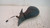 CITROEN C3 PLURIEL (2003) CRISTALLI RETROVISORE ESTERNO ANT. SX. USATO Da 2004 A 2011 [[230649]]