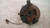 GREAT WALL HOVER 5  4WD 2.4B/GPL ASSALE FUSELLO RUOTA ANT. DX. USATO [[229675]]
