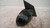HYUNDAI GETZ «I» (2002) CRISTALLI RETROVISORE ESTERNO ANT. DX. USATO Da 2003 A 2005 [[229642]]