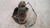 MINI MINI ONE «R50» (2001) ASSALE FUSELLO RUOTA ANT. SX. USATO Da 2003 A 2006 [[229564]]
