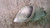 CITROEN SAXO (1996) FANALERIA FANALE FRECCIA FRONTALE ANT. SX. USATO Da 1998 A 2001 [[229463]]