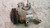 DAIHATSU TERIOS «II» (2006) TERMICO COMPRESSORE A/C USATO Da 2005 A 2009 [[229325]]