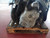 SMART FORFOUR «453» (2015) CAMBIO E TRASMISSIONE CAMBIO USATO [[229276]]