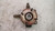 NISSAN MICRA «IV» (2013) ASSALE FUSELLO RUOTA ANT. DX. USATO Da 2013 in poi [[229056]]