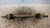 FIAT PANDA «II» (2004) CAMBIO E TRASMISSIONE SEMIASSE POST. SX. USATO Da 2004 A 2009 [[229030]]