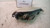 FIAT GRANDE PUNTO (2006) FANALERIA PROIETTORE ANT. SX. USATO Da 2005 A 2010 [[228872]]