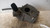 FILTRO ARIA USATO DAL 2008 AL 2012 BMW SERIE 3 «E91» TOURING (2005) AD779746704C [[228514]]
