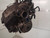 FORD COUGAR (1999) MOTORE MOTORE SEMICOMPLETO REVISIONATO USATO Da 1998 A 1999 [[227986]]