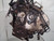 FORD COUGAR (1999) MOTORE MOTORE SEMICOMPLETO REVISIONATO USATO Da 1998 A 1999 [[227986]]