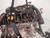 CHEVROLET CRUZE (2009) MOTORE MOTORE COMPLETO USATO Da 2009 in poi [[227615]]