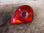 VOLKSWAGEN GOLF «V» (2004) FANALERIA FANALE INT. POST. SX. USATO Da 2003 A 2008 [[227258]]