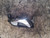 NISSAN QASHQAI «II» (2014) ALLESTIMENTI INTERNI MANIGLIA PORTA INT. ANT. DX. USATO Da 2014 A 2017 [[226913]]