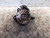 CITROEN C3 «III» (2016) ASSALE FUSELLO RUOTA ANT. SX. USATO Da 2016 in poi [[226571]]