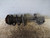 TOYOTA COROLLA VERSO «II» (2004) ASSALE AMMORTIZZATORE ANT. DX. USATO Da 2004 A 2005 [[225629]]